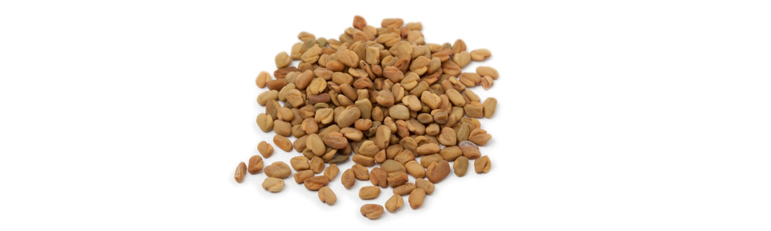 Fenugreek