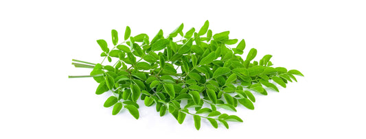 Moringa