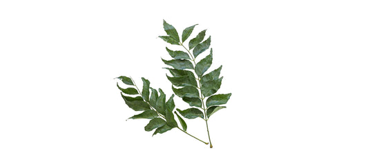 Neem Oil