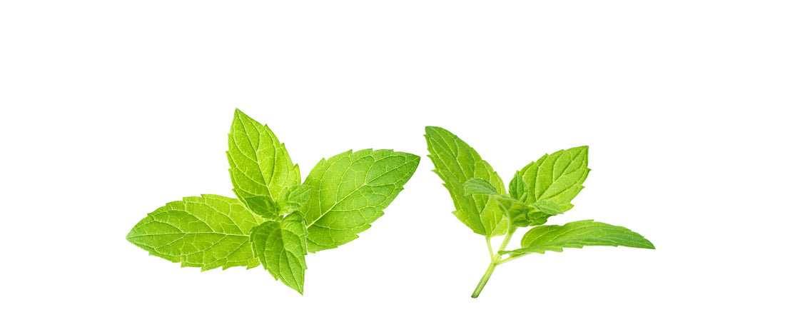 Peppermint