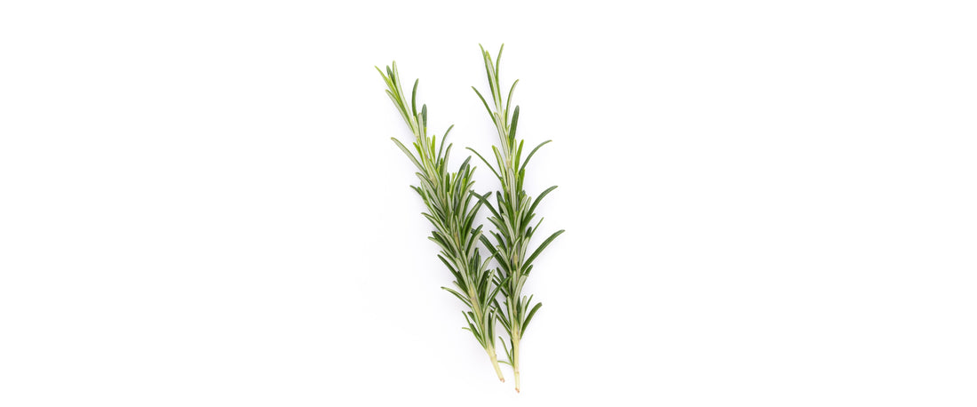 Rosemary
